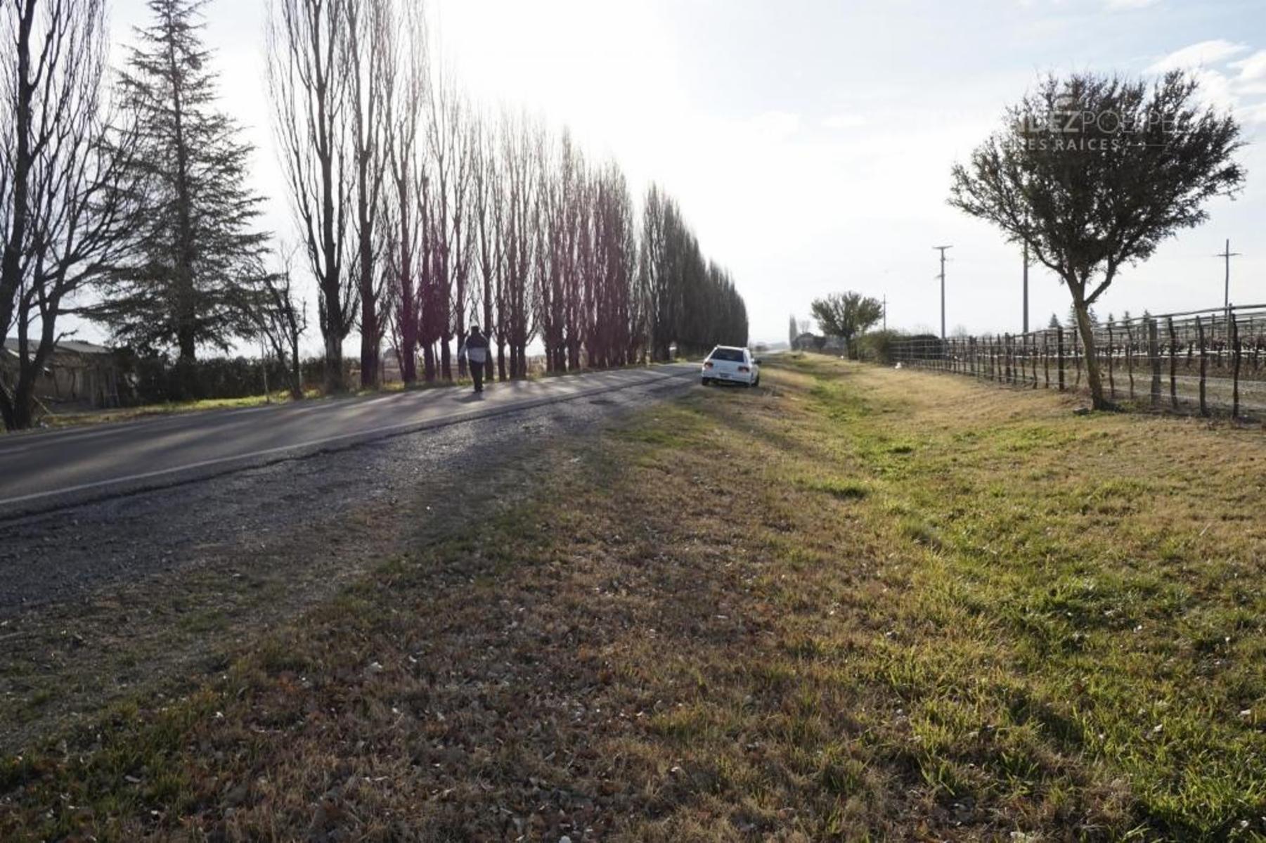 Ruta 88 · Tupungato — foto 19