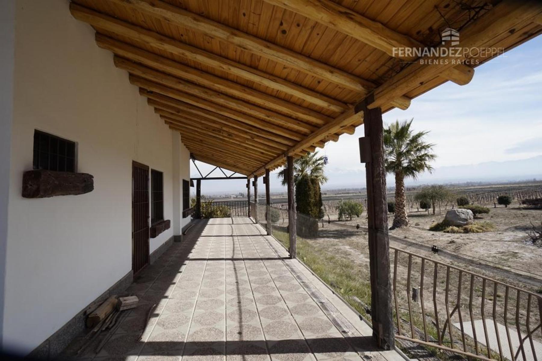 Ruta 88 · Tupungato — foto 20