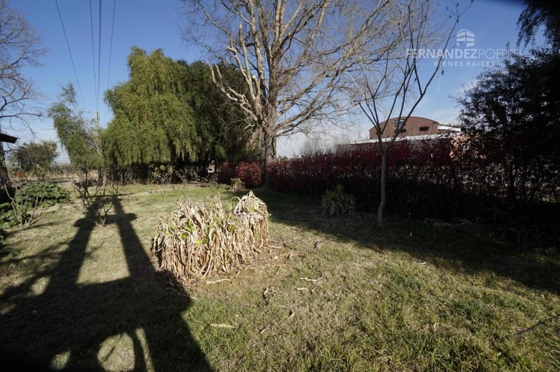 Ruta 88 · Tupungato — foto 3