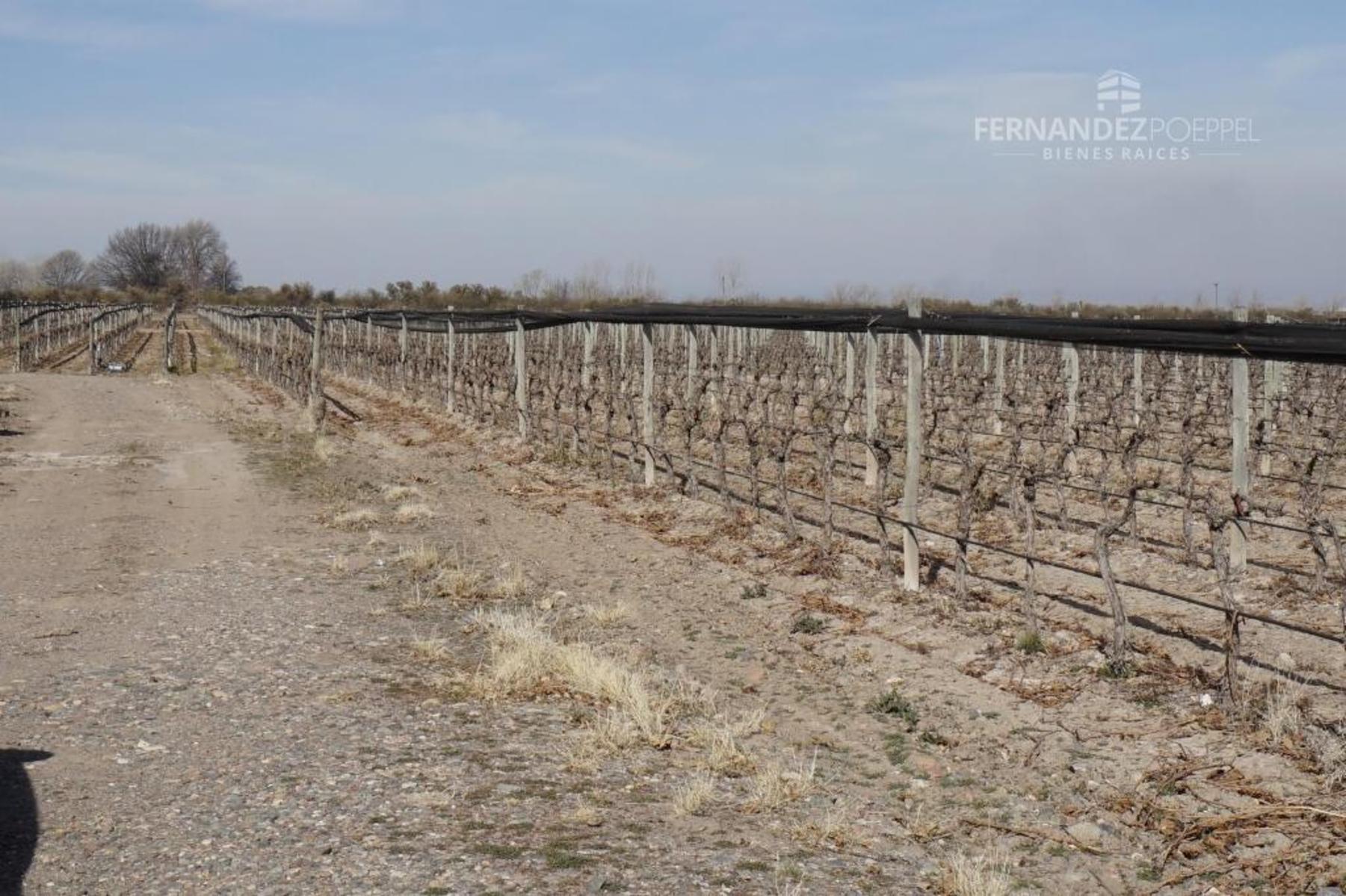 Ruta 88 · Tupungato — foto 25