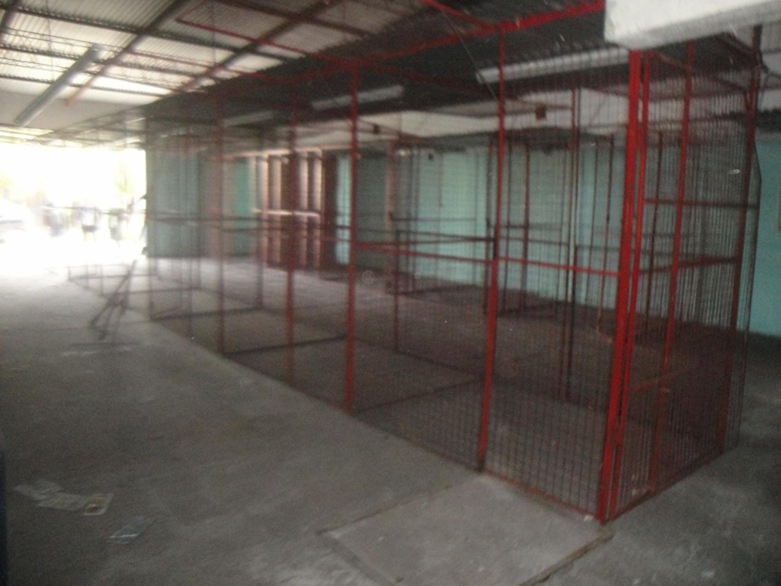 Avenida jose de san martin 2060 · Merlo — foto 3