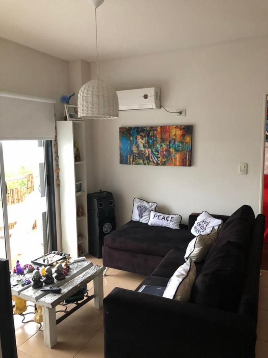 Albarello 300 · San Fernando — foto 6