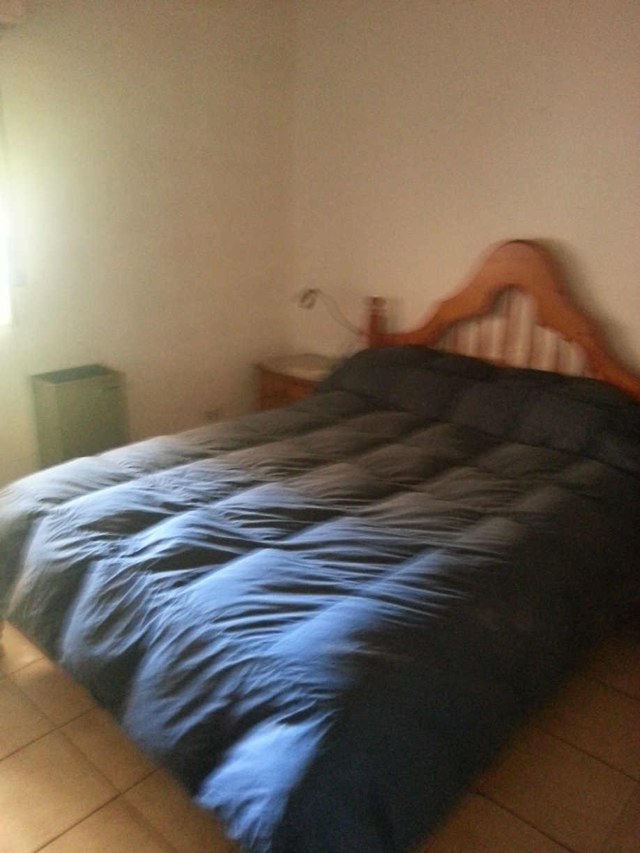 CHAPUIS 174 · Campana — foto 5