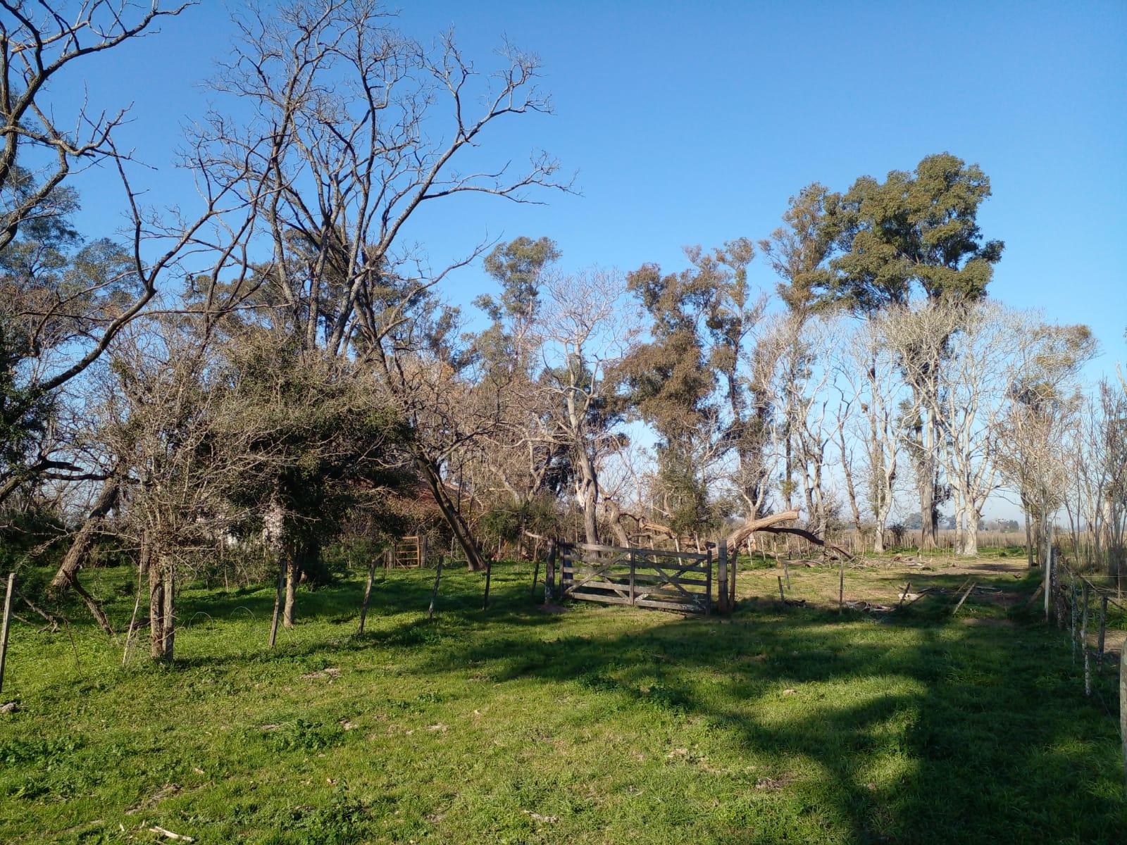 CAMPO EN PARTIDO DE SAN VICENTE