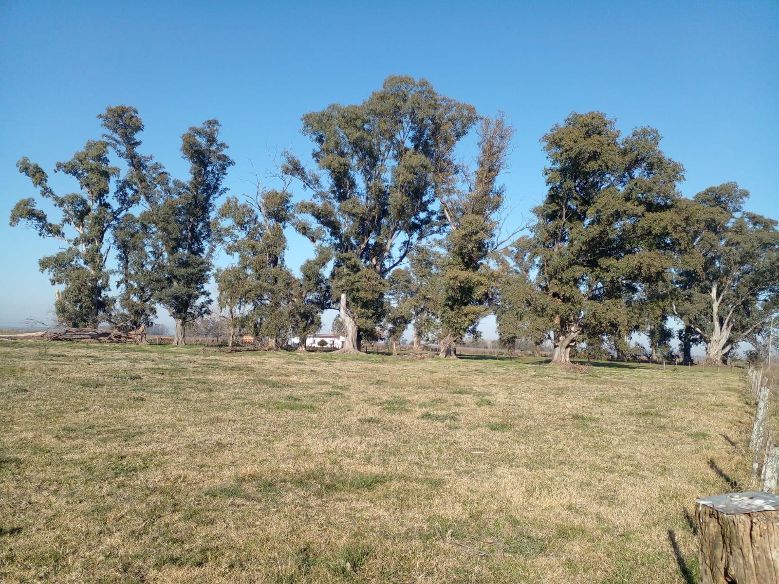 Ruta 6 · San Vicente — foto 3