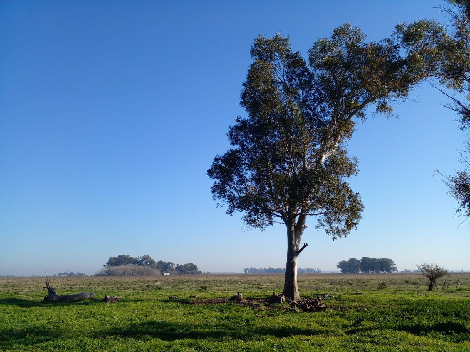 Ruta 6 · San Vicente — foto 6