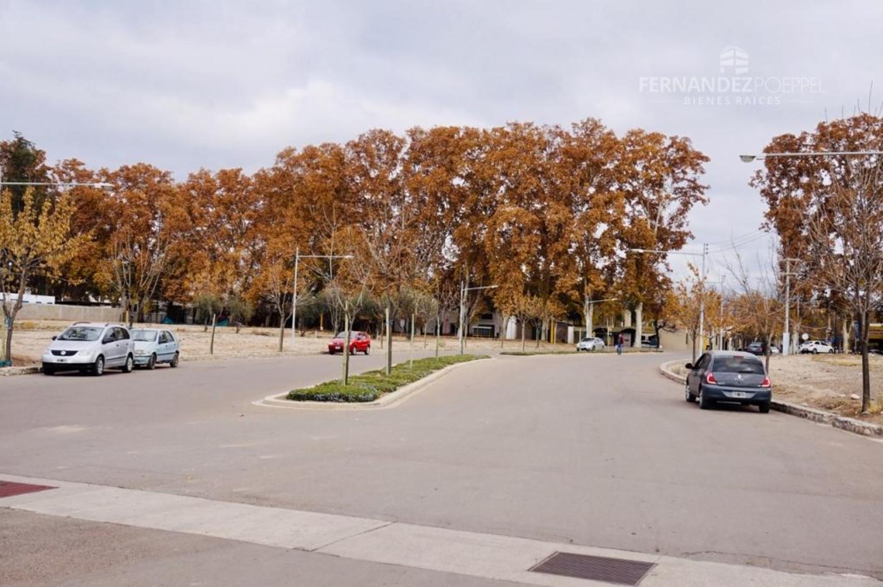 San Martin · Luján de Cuyo — foto 19