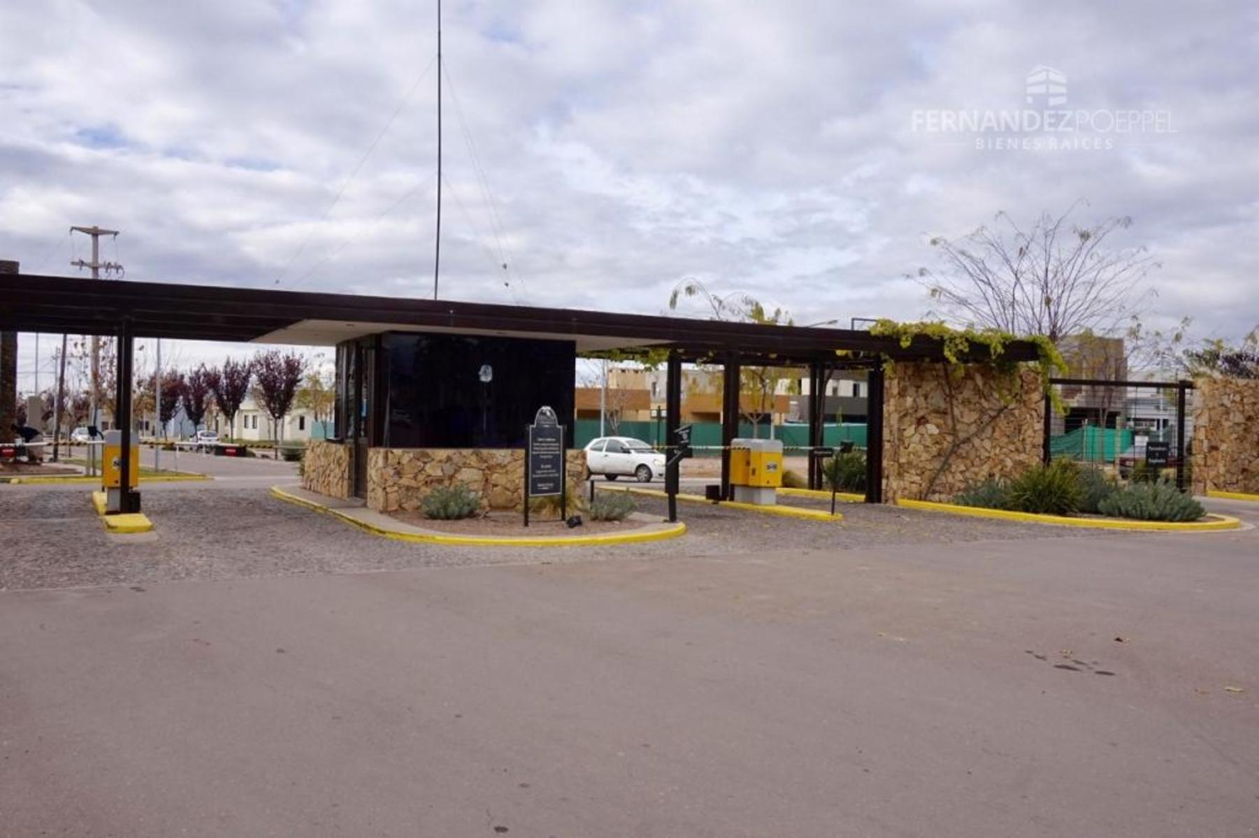 San Martin · Luján de Cuyo — foto 6