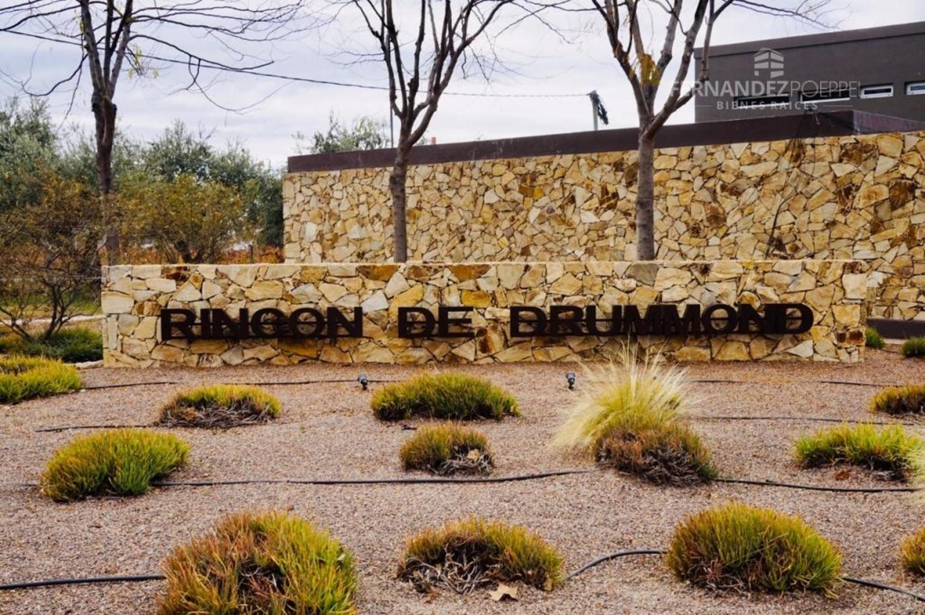 San Martin · Luján de Cuyo — foto 8