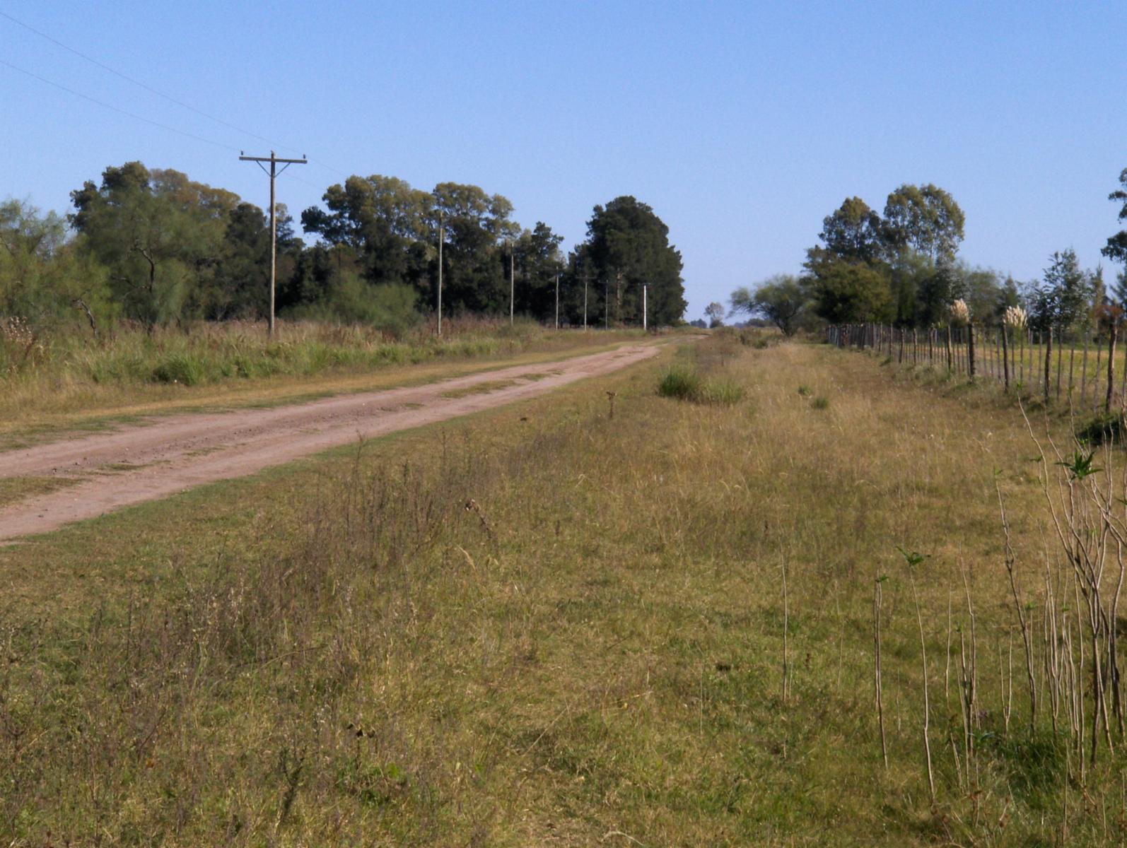 Campo 9HA en Las Flores