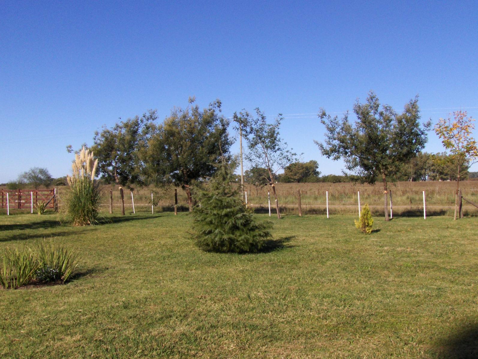 5 km Ruta 3 · Las Flores — foto 7