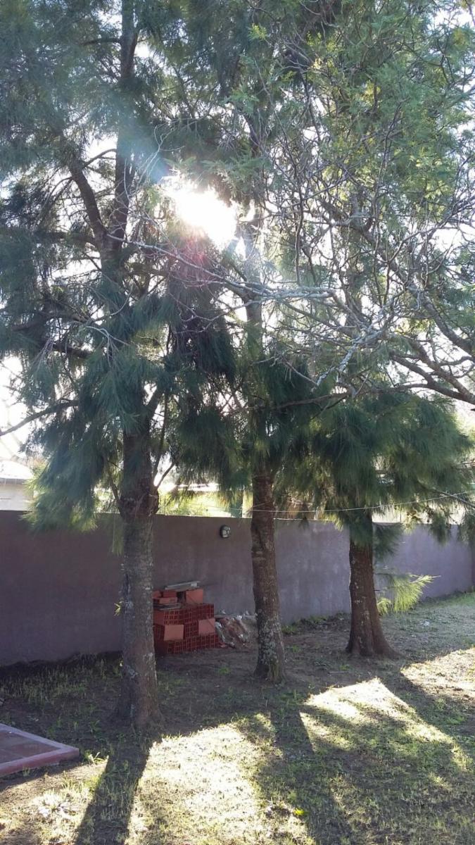 calle 44 · General Lavalle — foto 5