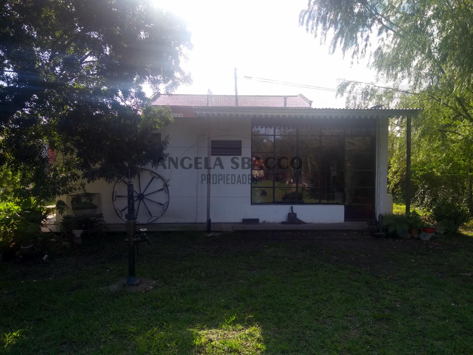 Los Nogales · Exaltacion De La Cruz — foto 4