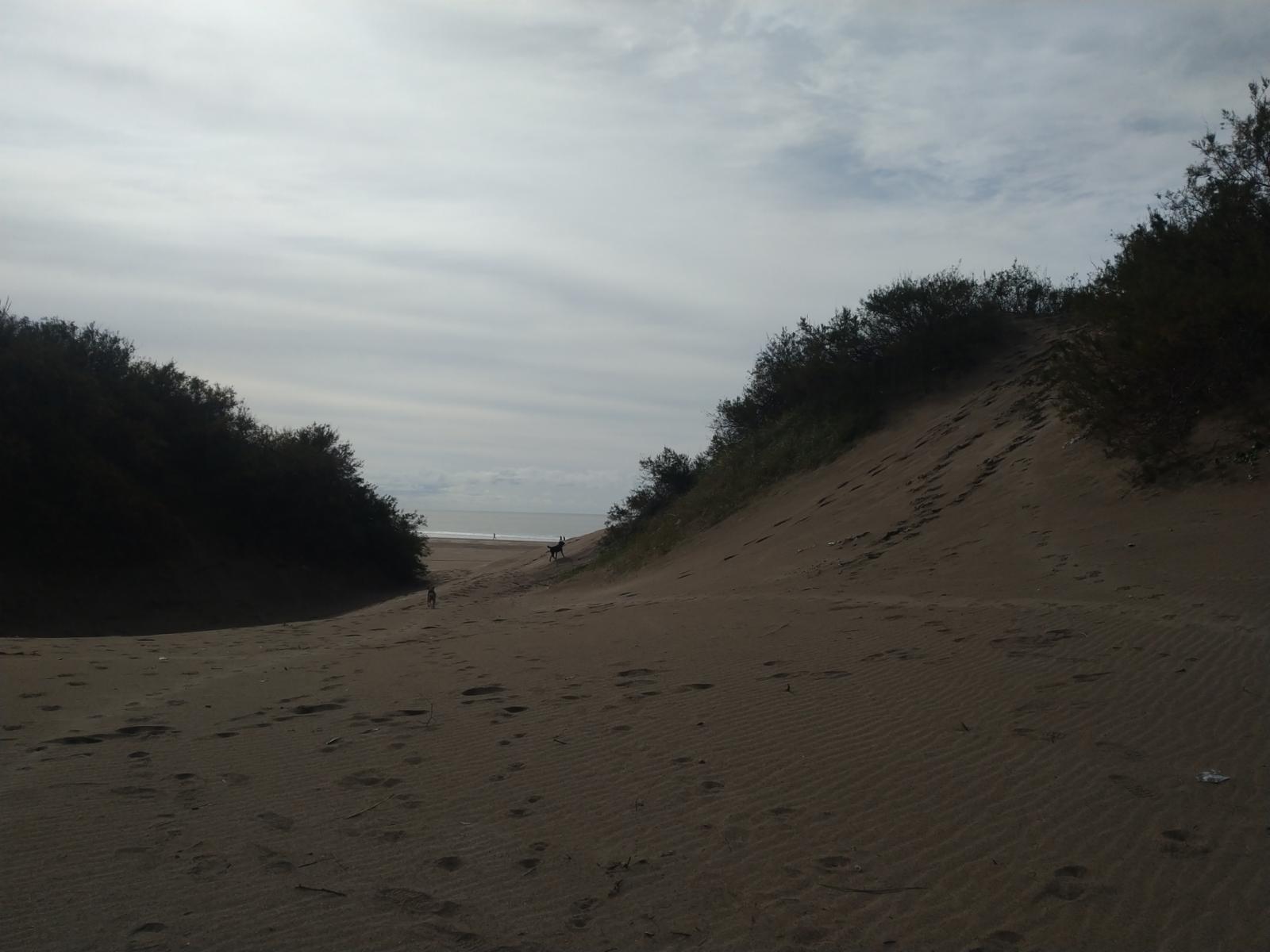 48 784 · La Costa — foto 22