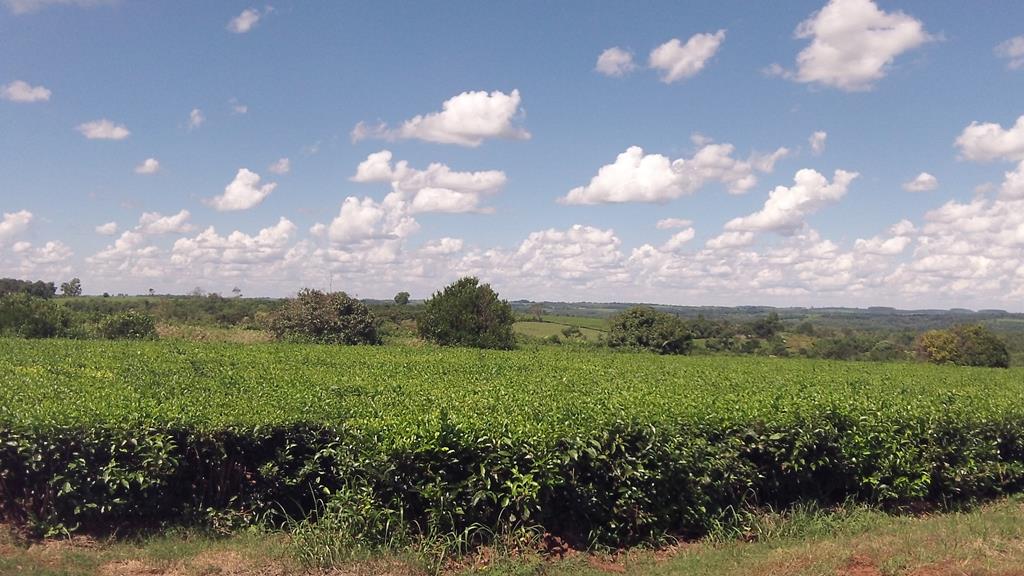 zona rural · Oberá — foto 3