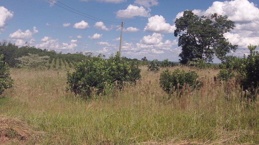 zona rural · Oberá — foto 9