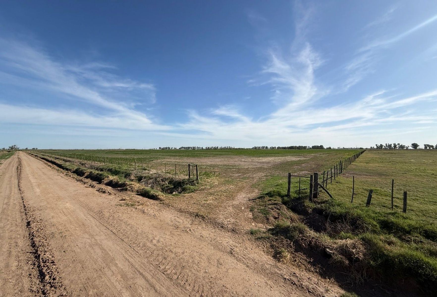 Campo mixto 135 has. General Villegas