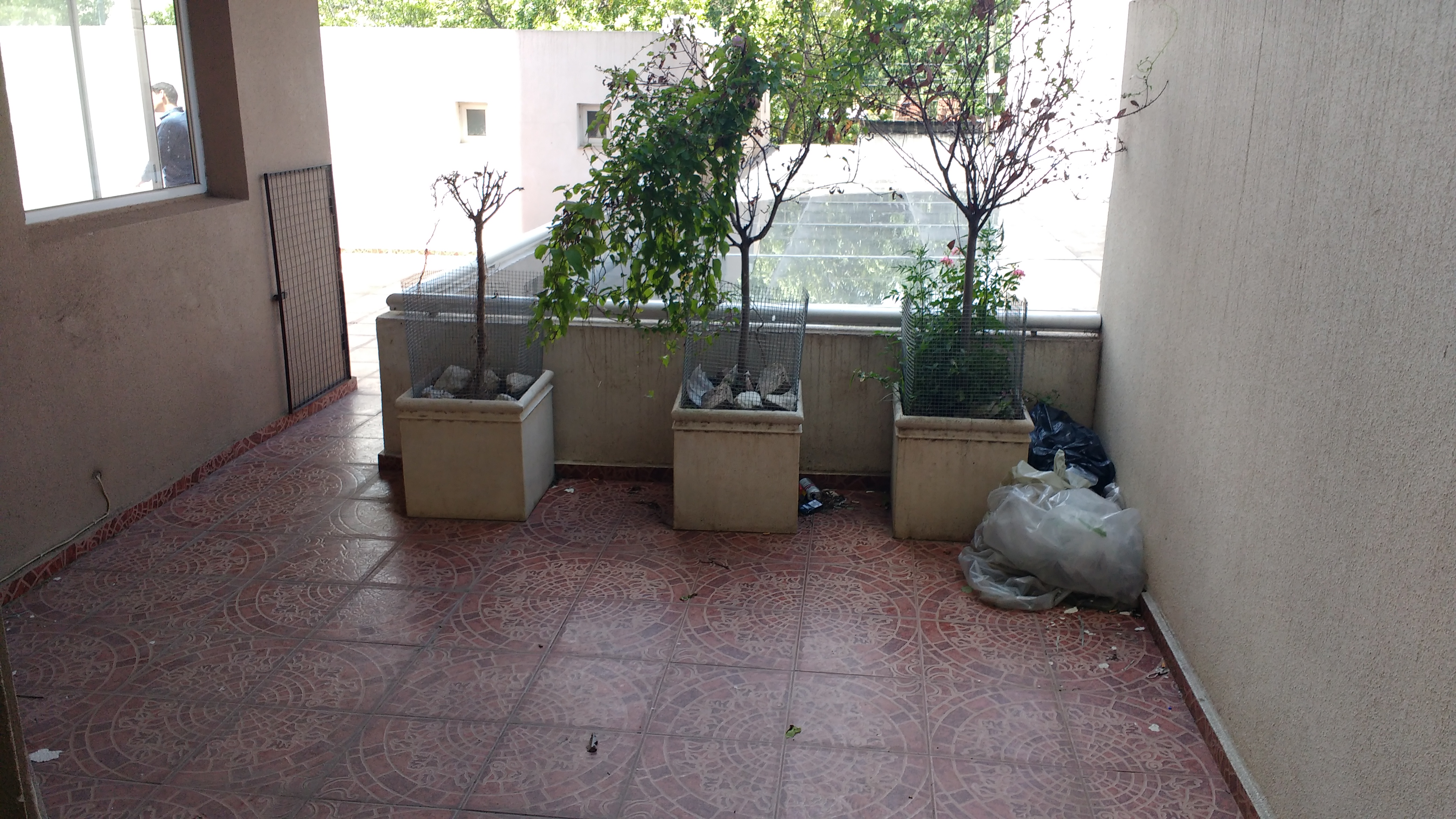 Pelegrini · Punilla — foto 4