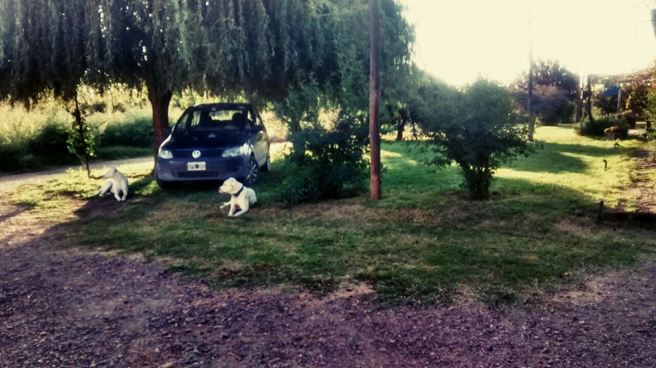 chacra pomona · Avellaneda — foto 4