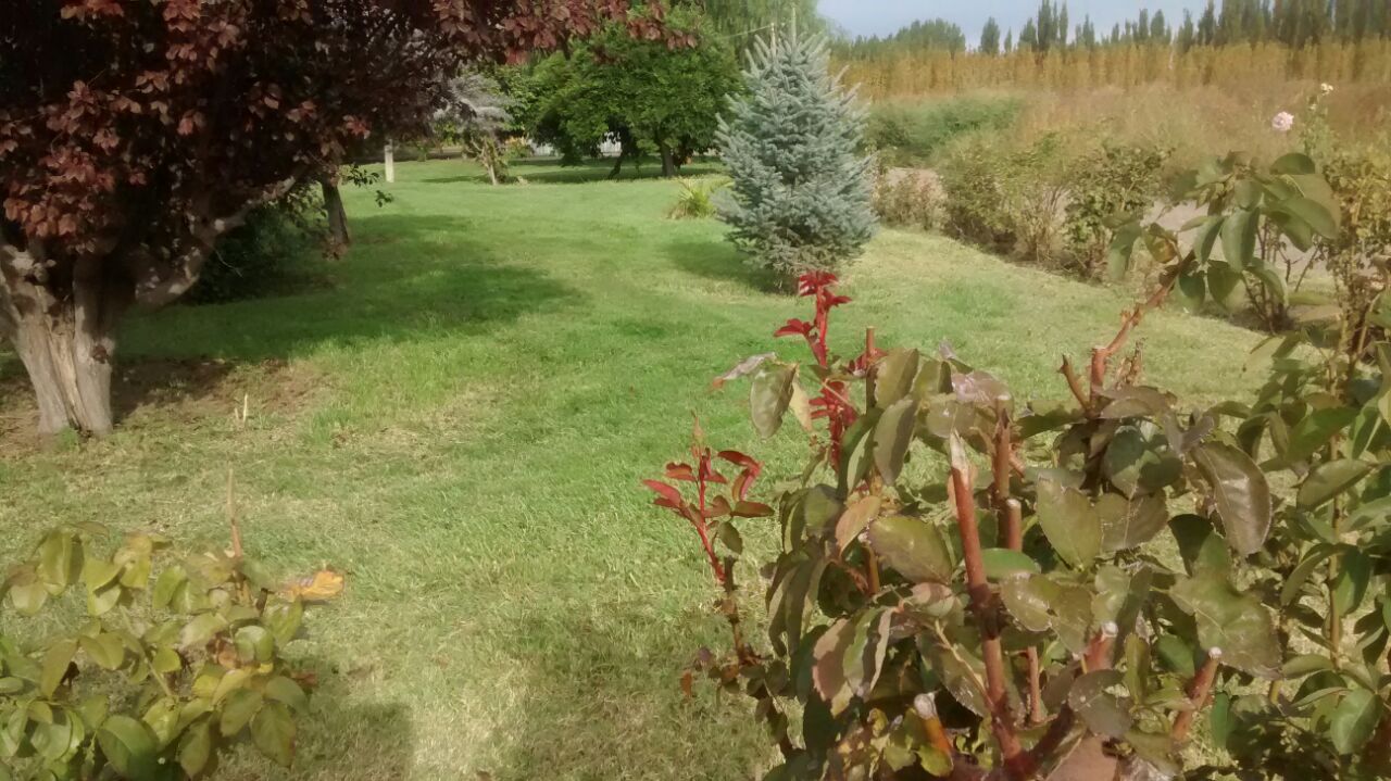chacra pomona · Avellaneda — foto 6