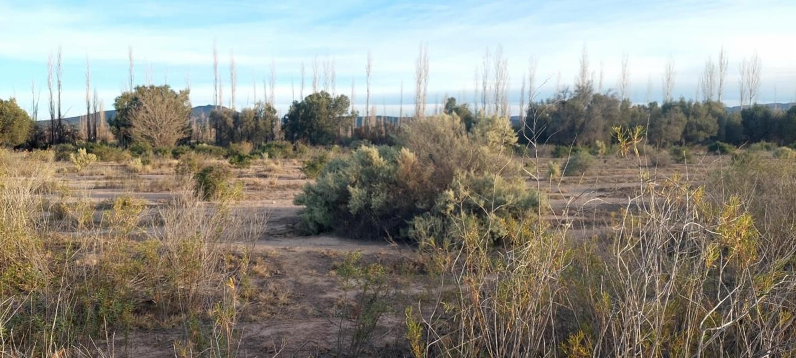 Lote de 5500m2. En Rama Caída, Mendoza