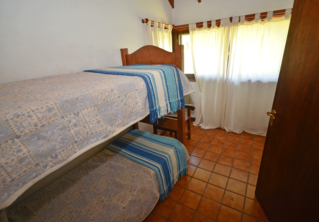 Palmeras · Junín — foto 11