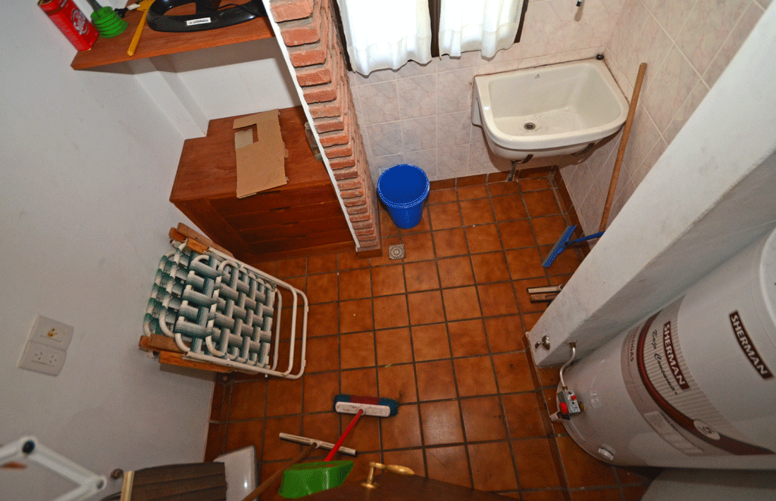 Palmeras · Junín — foto 18