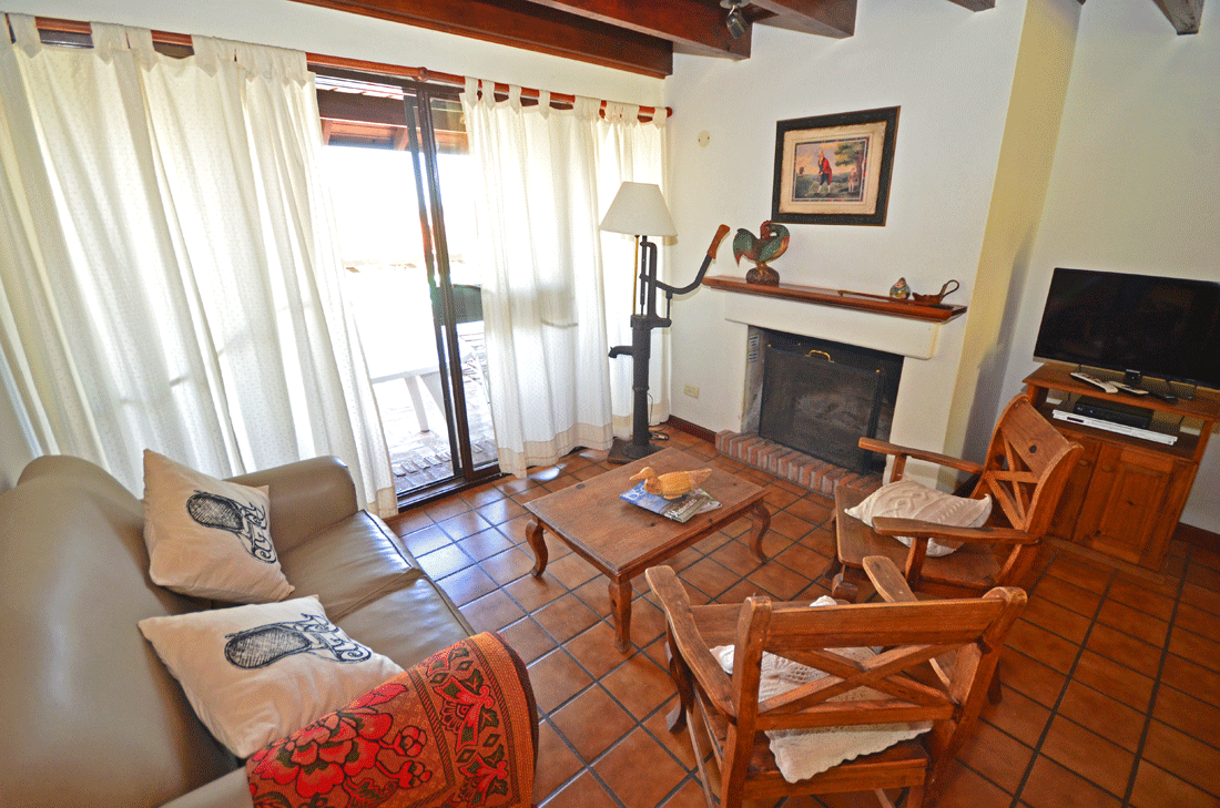Palmeras · Junín — foto 8