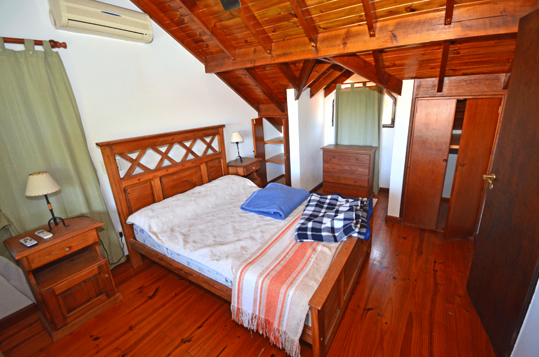 Palmeras · Junín — foto 10