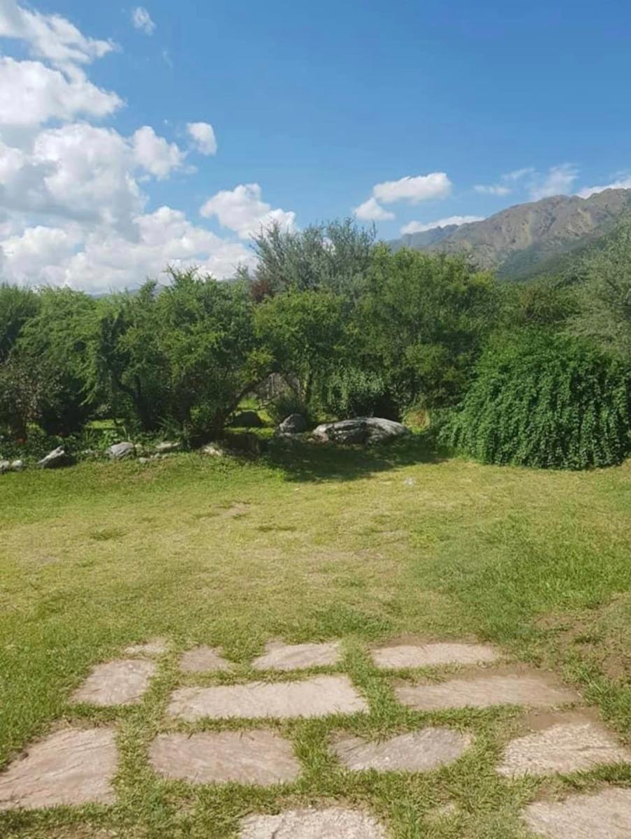 CALLE SIN NUMERO, LOS MOLLES, SAN LUI · Junín — foto 13