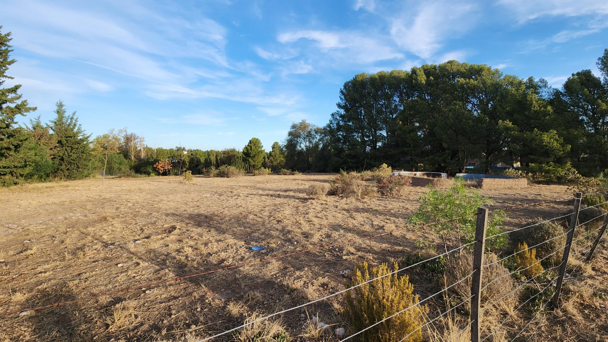 DOMINGO PRONSATO 2121 · Bahia Blanca — foto 3