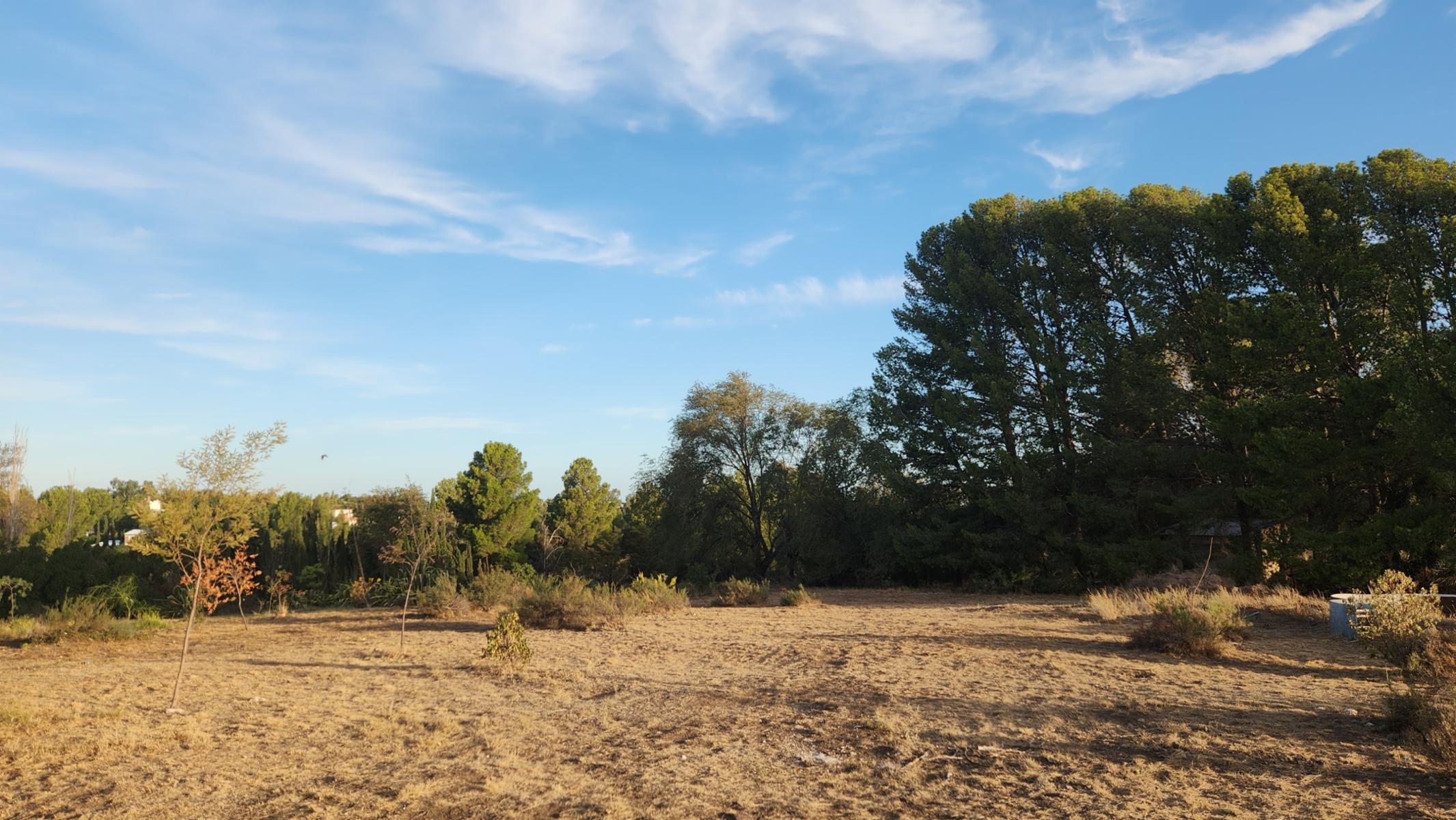 DOMINGO PRONSATO 2121 · Bahia Blanca — foto 7