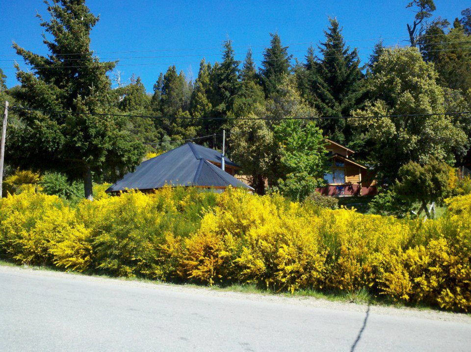 Ruta 77 Km 19 Av Bustillo. Circuito Chico Nr 19918 · Bariloche — foto 13