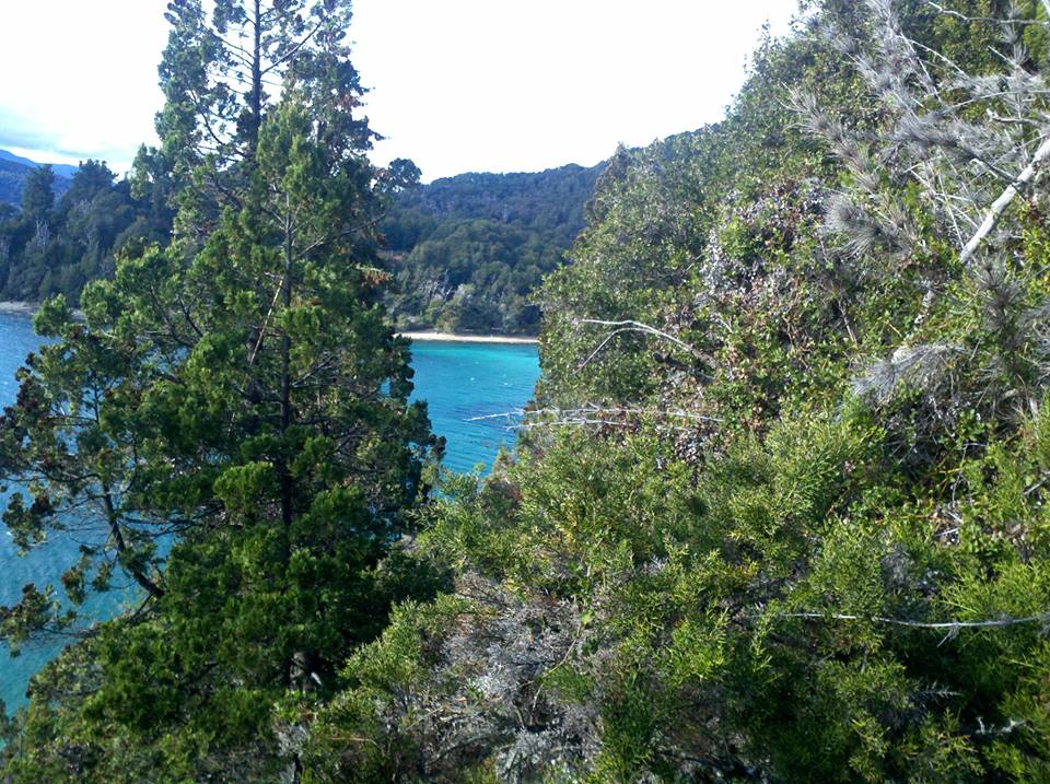 Ruta 77 Km 19 Av Bustillo. Circuito Chico Nr 19918 · Bariloche — foto 32