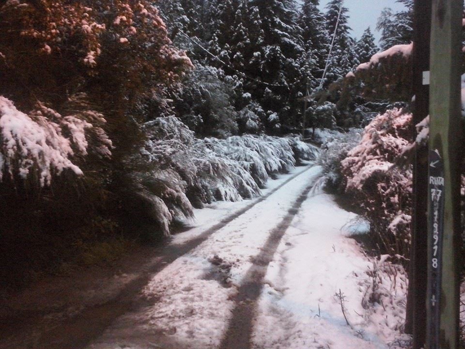 Ruta 77 Km 19 Av Bustillo. Circuito Chico Nr 19918 · Bariloche — foto 7