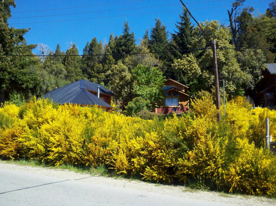 Ruta 77 Km 19 Av Bustillo. Circuito Chico Nr 19918 · Bariloche — foto 9