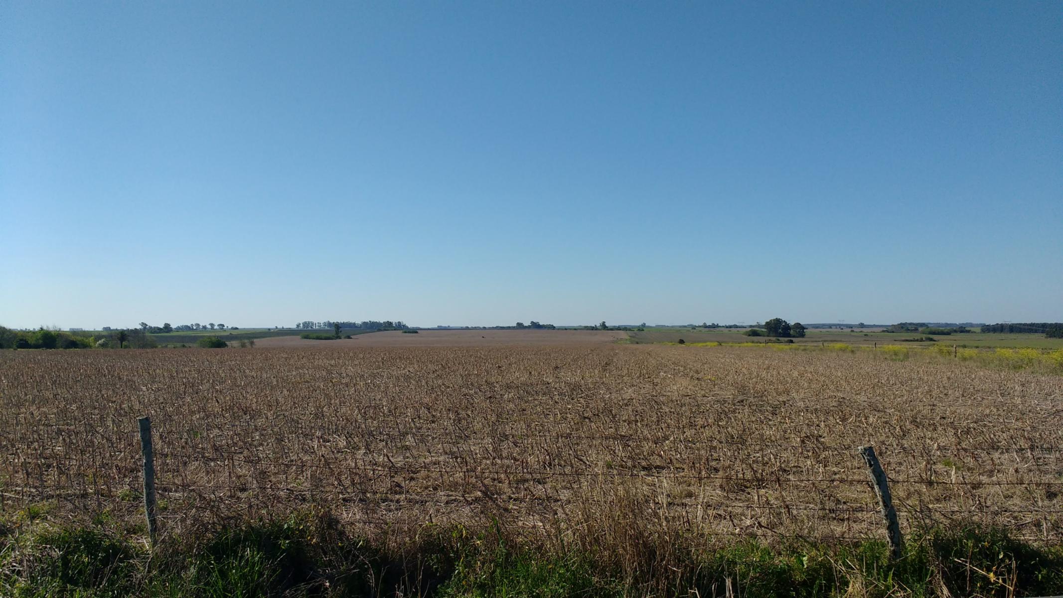 LA CLARITA 139 HAS · Colón — foto 11
