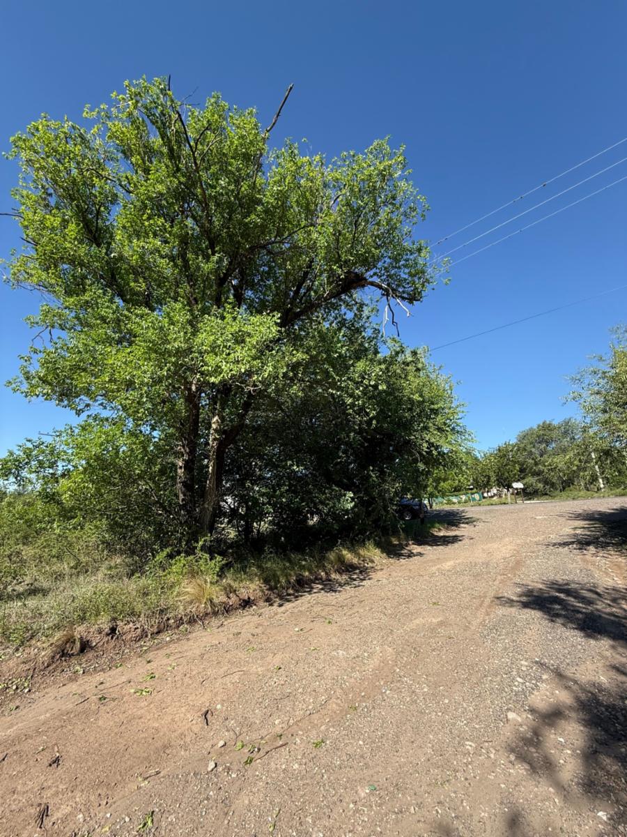 Ruta 38 · Punilla — foto 18