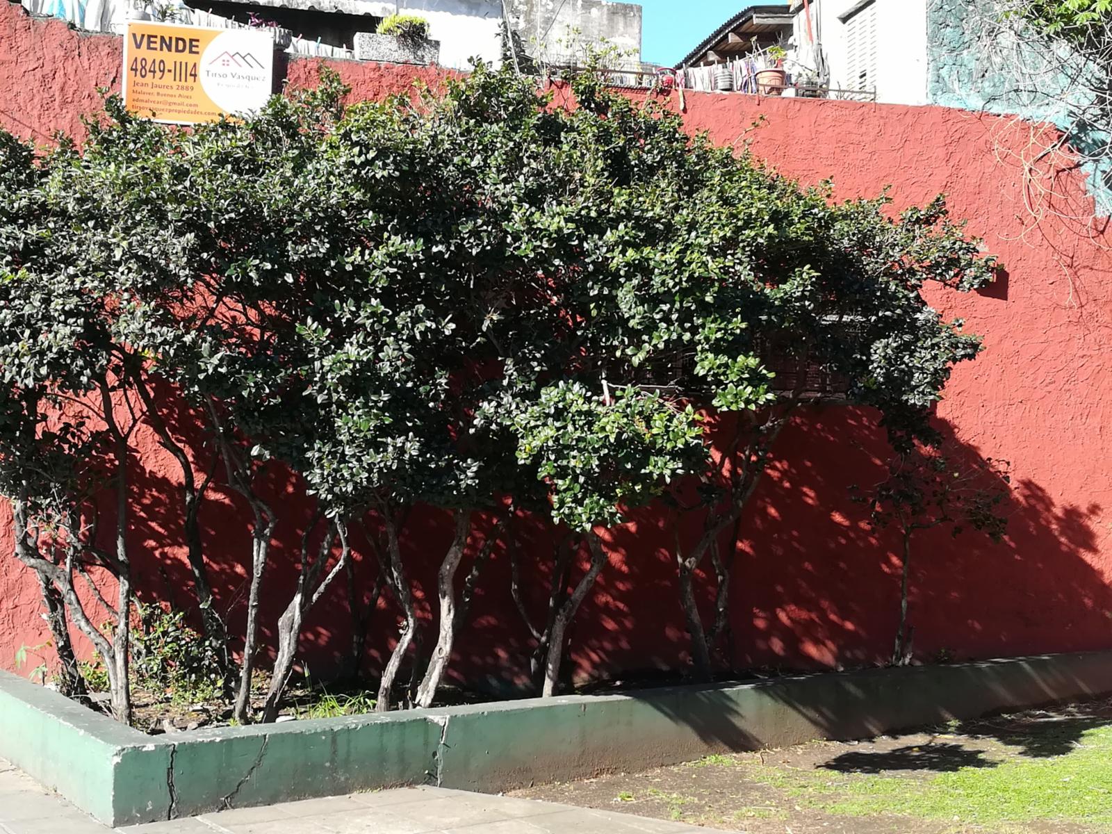PARANÁ 6100 · Vicente López — foto 4