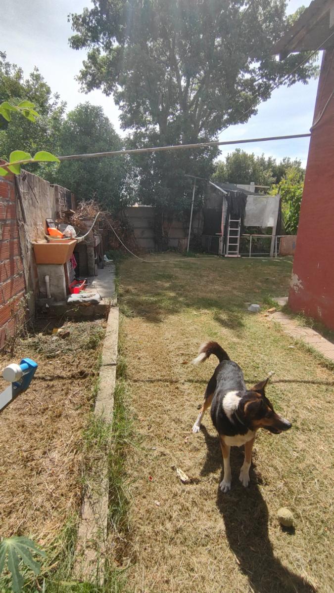VENDO CASA (47-3262) ZONA COLEGIO ALEMAN · Necochea — foto 13