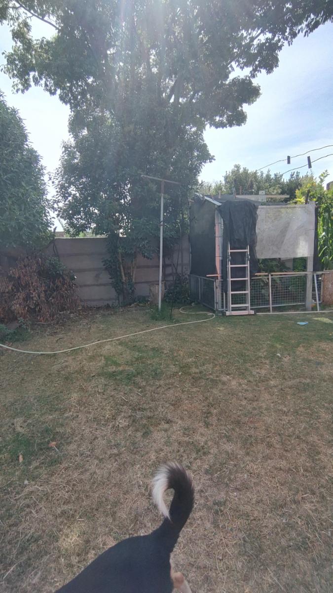 VENDO CASA (47-3262) ZONA COLEGIO ALEMAN · Necochea — foto 15