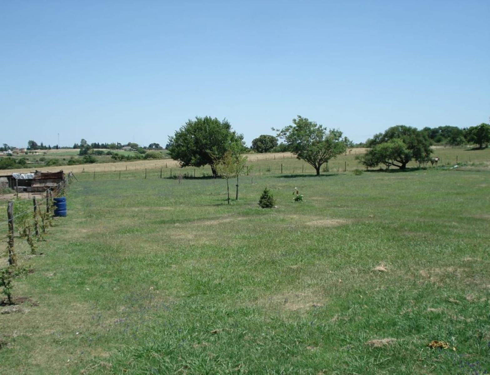HERMOSO TERRENO 25×80 A 3000 METROS DE TERMAS DE VICTORIA