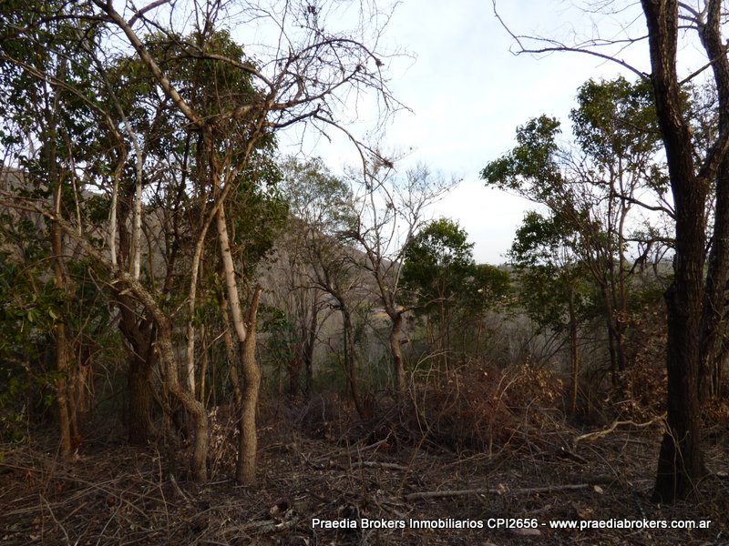 Ruta 5 · Calamuchita — foto 19