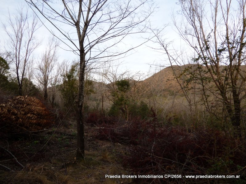 Ruta 5 · Calamuchita — foto 5