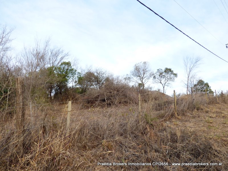 Ruta 5 · Calamuchita — foto 6