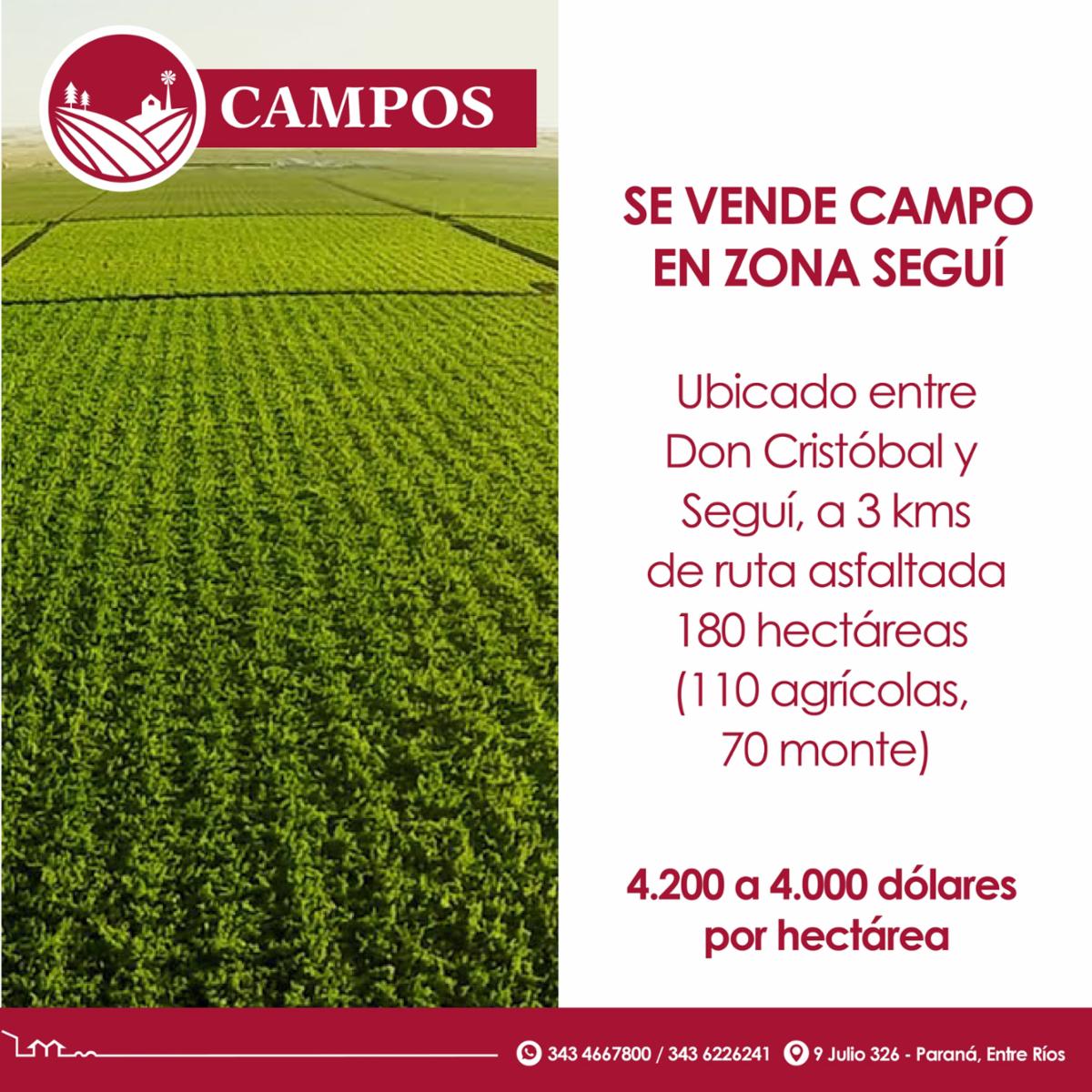 Se vende campo en zona Seguí