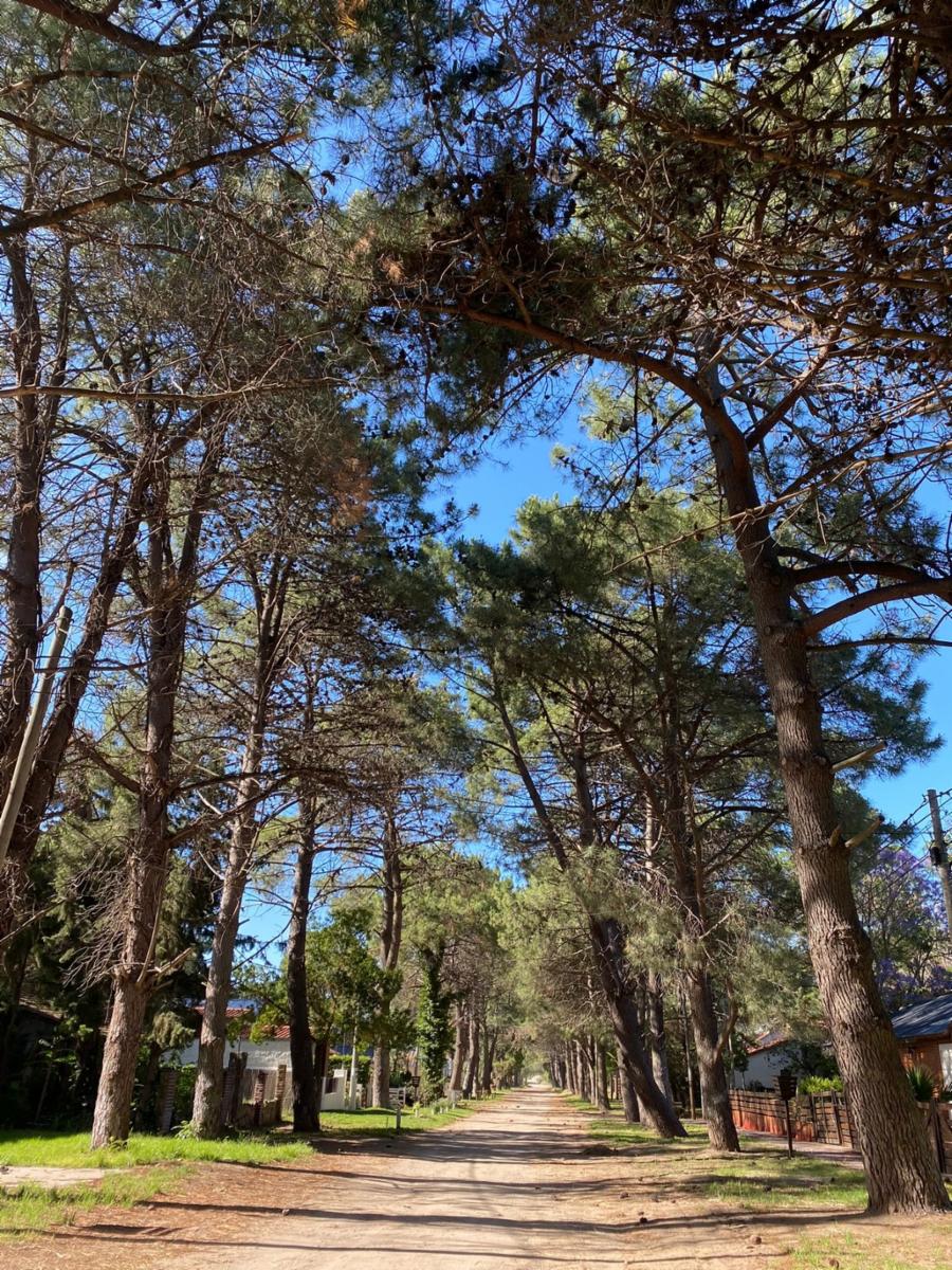 Santa Fe y el Dientudo · Monte Hermoso — foto 10