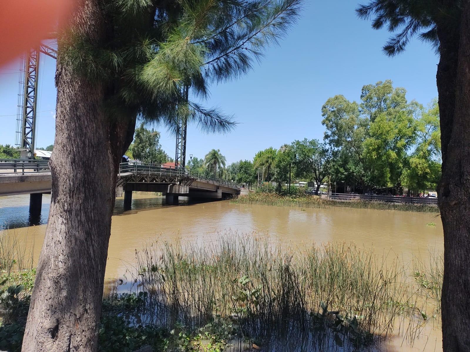 RECONQUISTA 800 · Tigre — foto 18
