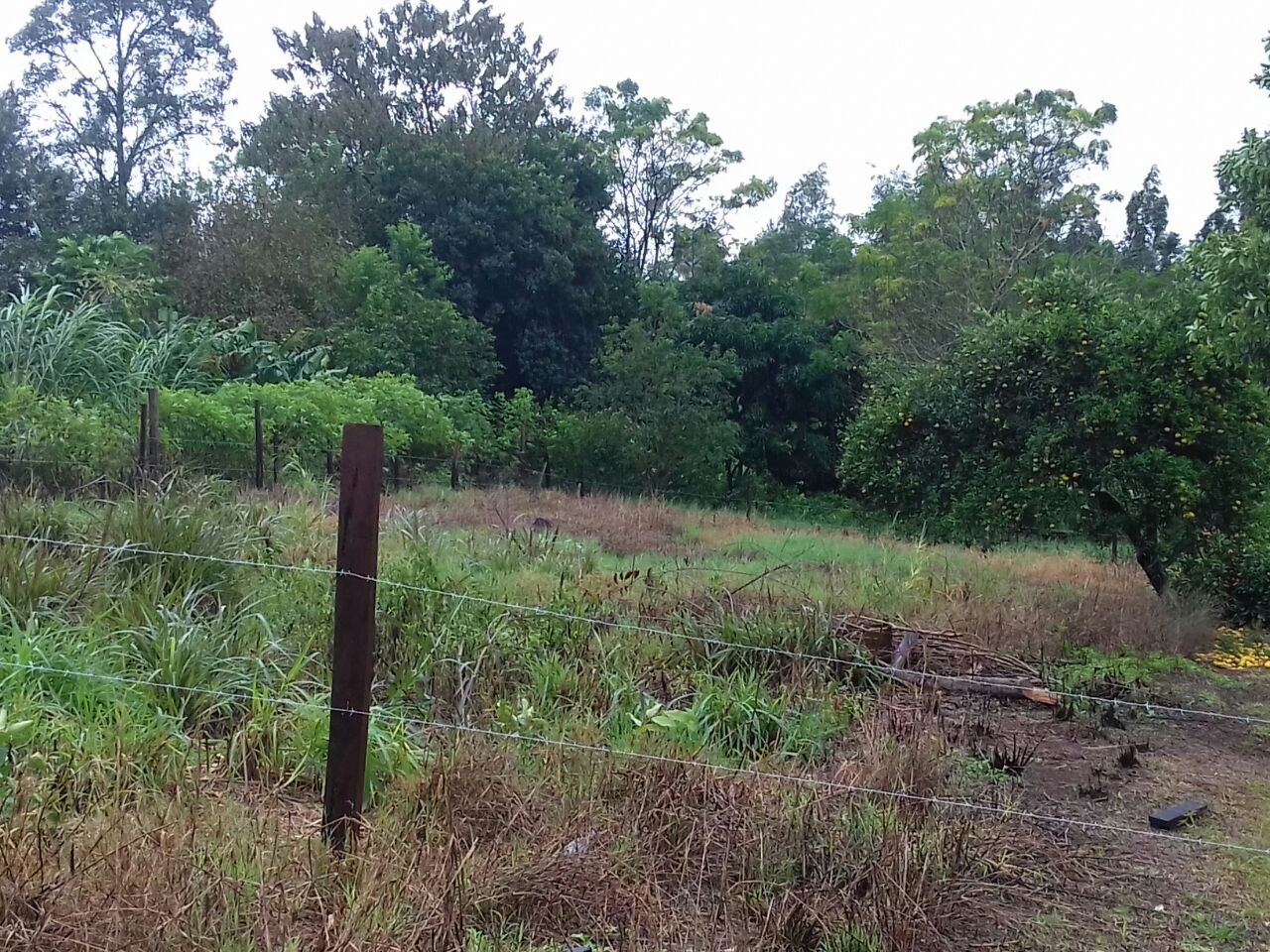 PANAMBI SOBRE AV SIN NOMBRE · Oberá — foto 4
