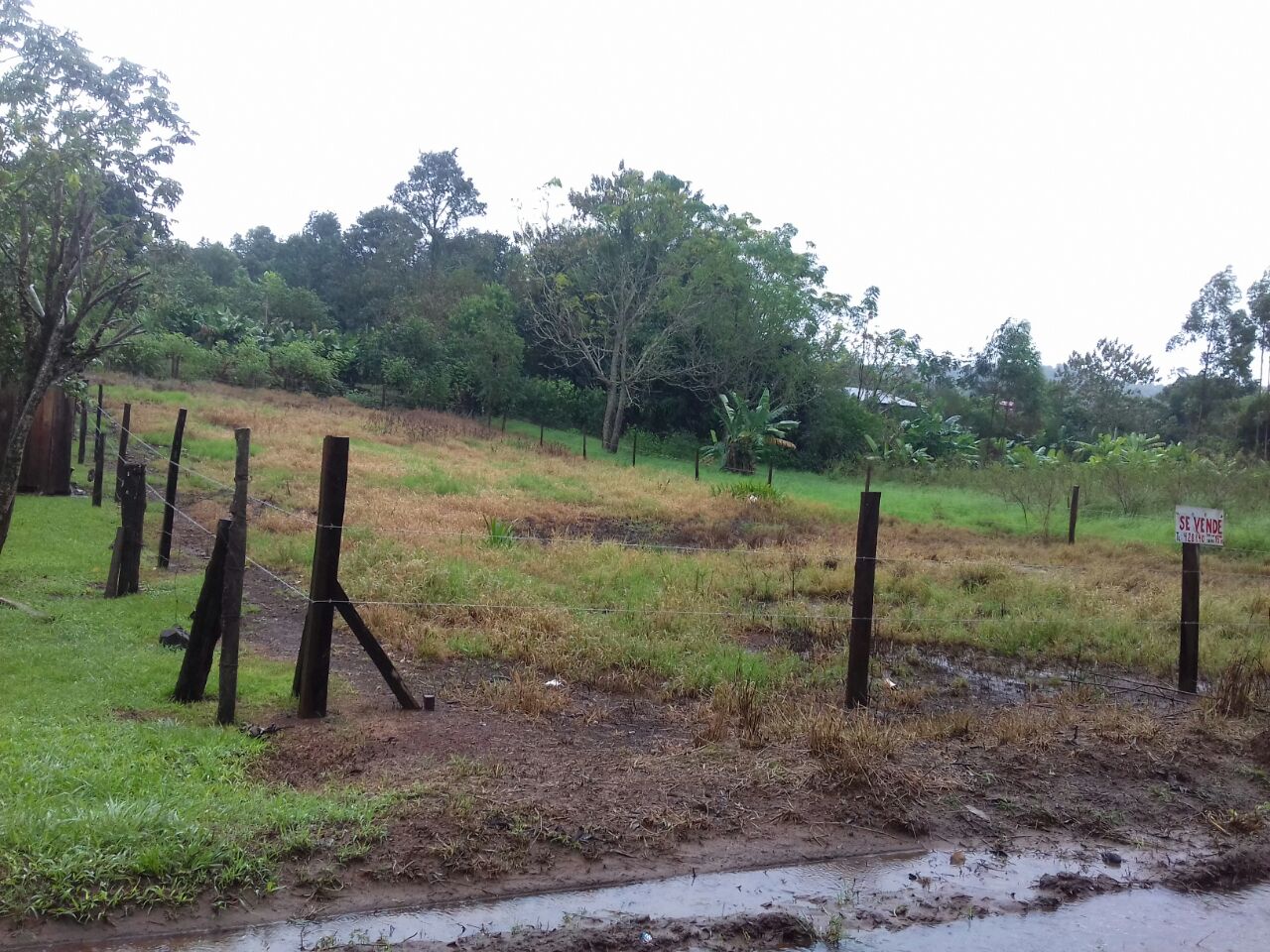 PANAMBI SOBRE AV SIN NOMBRE · Oberá — foto 5